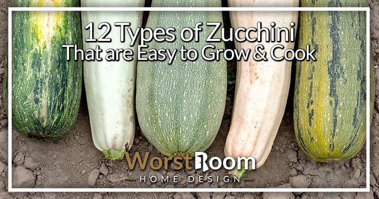  types de courgettes 