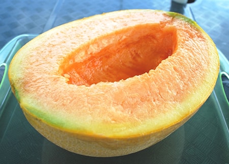 japanese cantaloupe is a luxury item and is one of the most pretty of the cantaloupe types