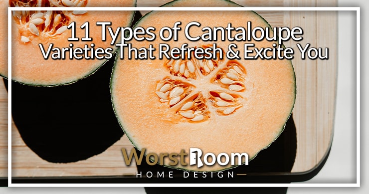 types of cantaloupe