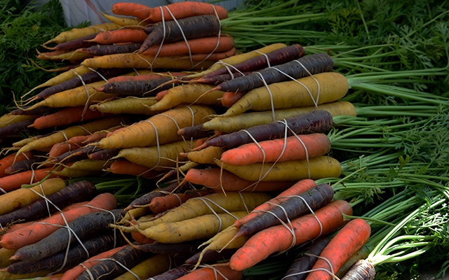 types of carrots thumbnail