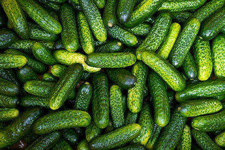 gherkin pickles