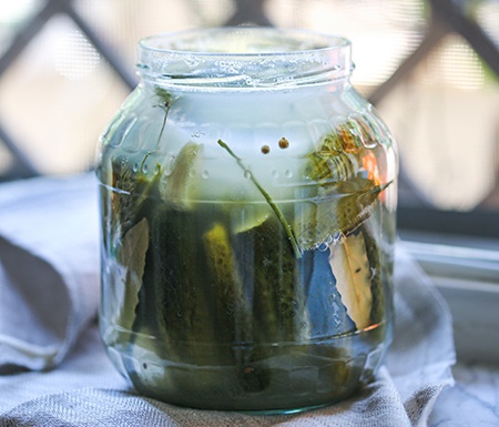 overnight dill pickle is one of the fastest fermented kinds of pickles, it can be consumed after one or two days of fermentation