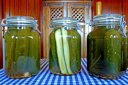 polish dill pickle