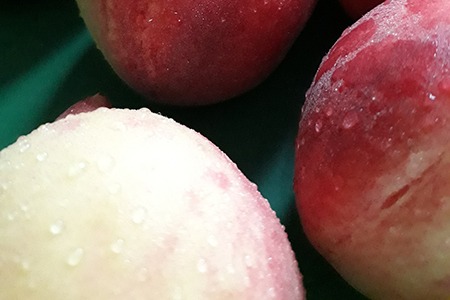 babcock peaches