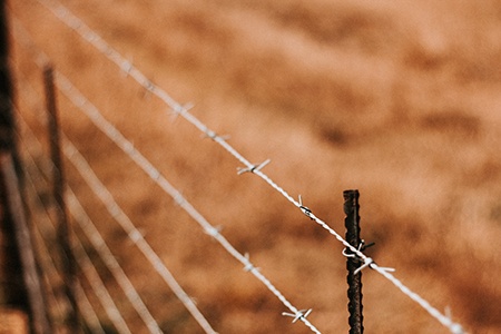 barbed wire fencing are the most common types of wire fences, they are used all around the world