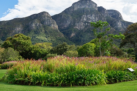 botanical gardens