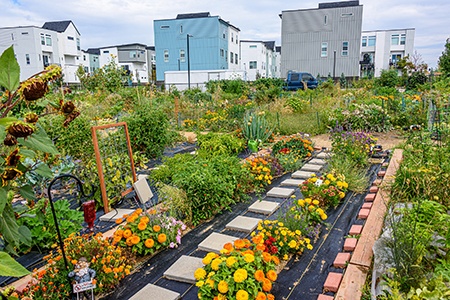 most of the garden types are for personal use but community gardens are just the opposite, you can share your labor and land with others in your community