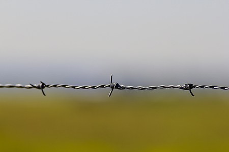double strand barbed wire