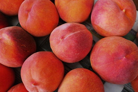 early amber peach types are originated from florida