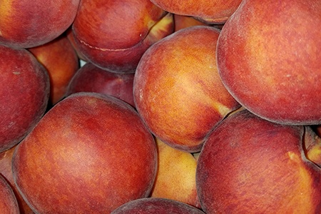 elberta peaches