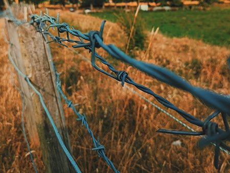 galvanized barbed wire