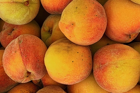 glohaven peaches