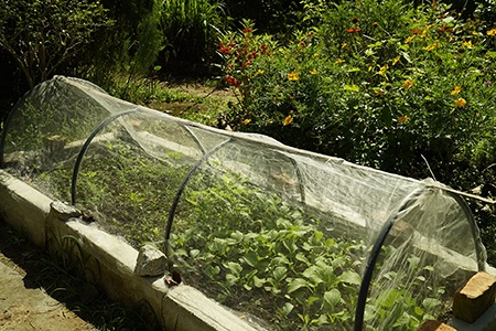 garden types like greenhouse gardens are specifically designed to have a temperature control over your plants
