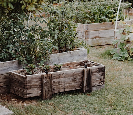 there are different types of gardens for various uses and herb gardens is a good choice for someone who is into cooking with fresh ingredients