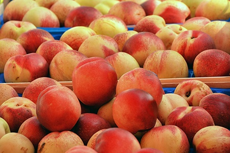 reliance peaches