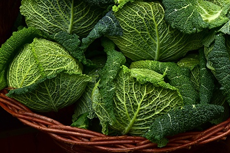 salad savoys are different varieties of kale that are mainly preferred for salad making