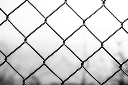 steel wire fencing