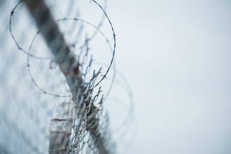 stirred barbed wire