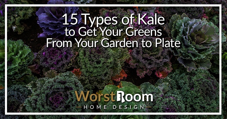 types of kale