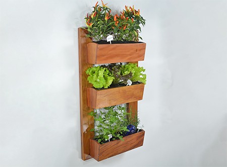 vertical gardens