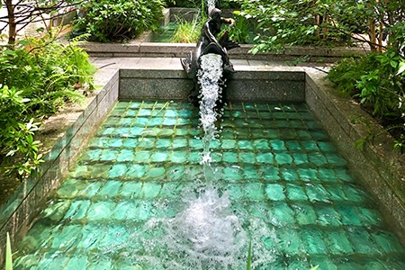 water gardens