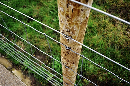woven wire fencing