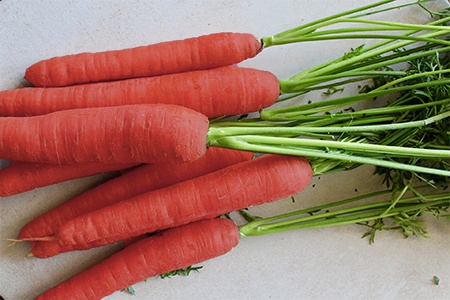 atomic red carrot