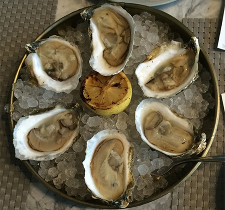blue point oysters