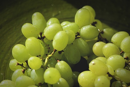 centennial grapes