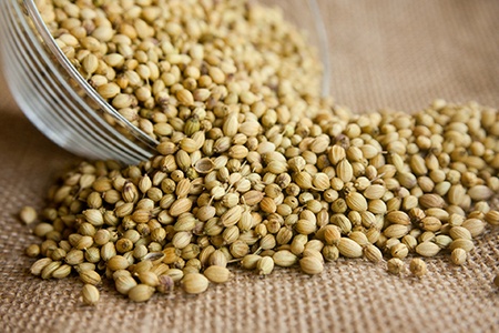 some types of spices like coriander are crucial to many dishes