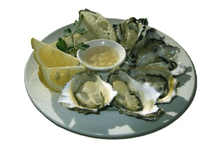 kumamoto oysters