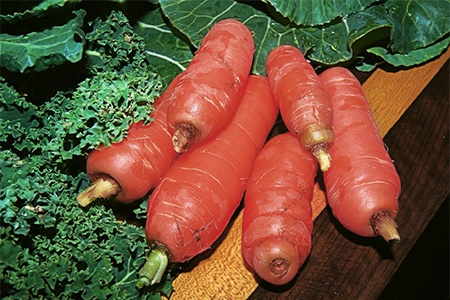 red-cored chantenay carrot