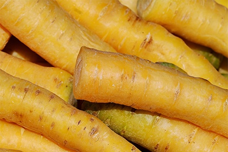 some varieties of carrots like solar yellow carrots are mainly yellow
