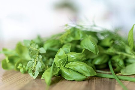 summerlong basil