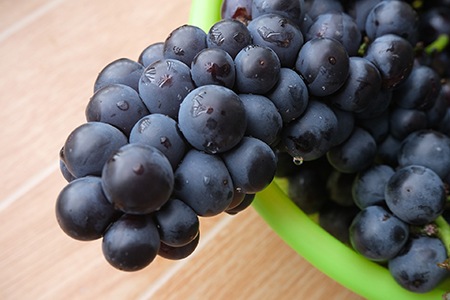 sweet jubilee grapes