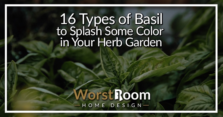 types of basil