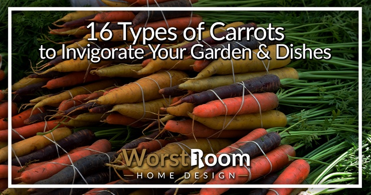 types of carrots