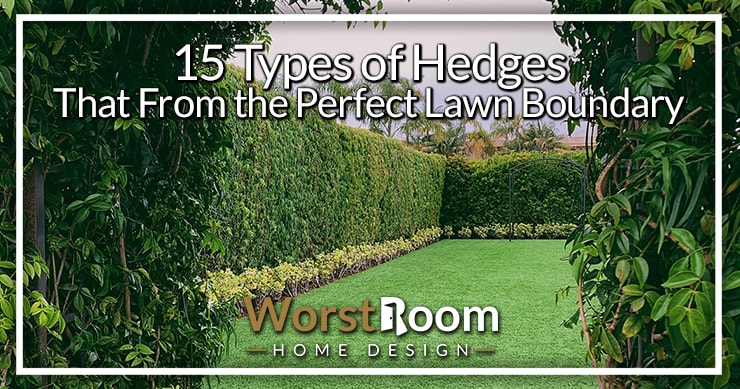 types of hedges