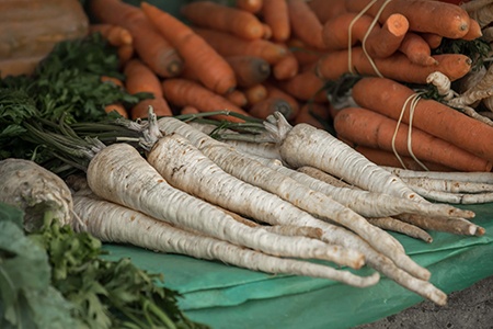 white satin carrots are definitely different kinds of carrots, they are all white