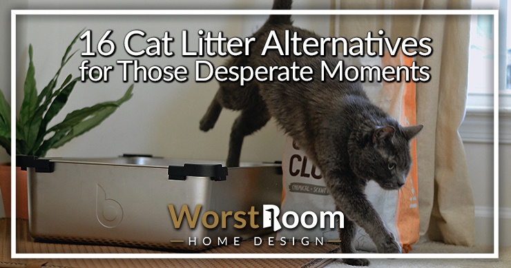 Alternatives to outlet clay litter