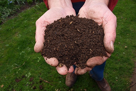 the most environmentally friendly mulch alternatives is compost