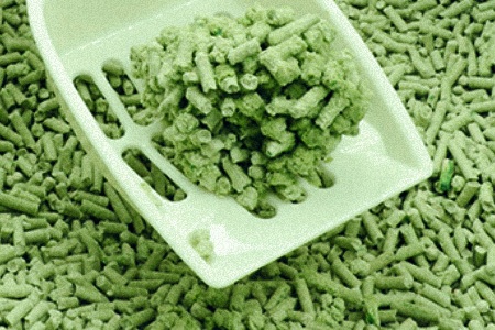 green tea litter