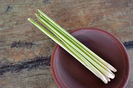 lemongrass