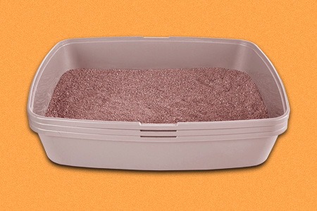 litter made of baking soda, chicken feed, & cedar shavings are cheap cat litter alternatives that you can diy