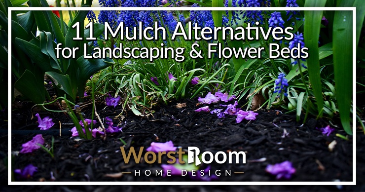 mulch alternatives