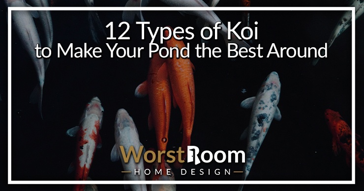 types of koi fish