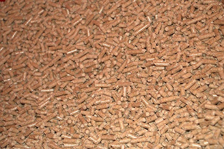 wood pellets litter are biodegradable kitty litter alternatives