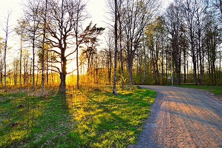 if you seek for cheap driveway alternatives, you can use gravel