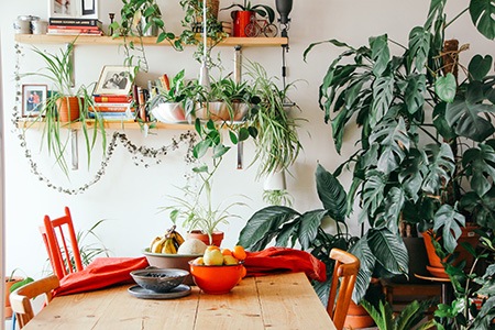 if you want to use closets with no doors, then you can use plants as dividers
