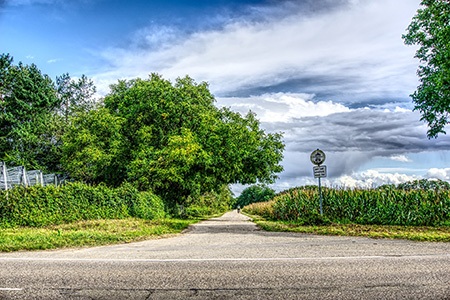 tar & chip are both great and cheap driveway alternatives you can use